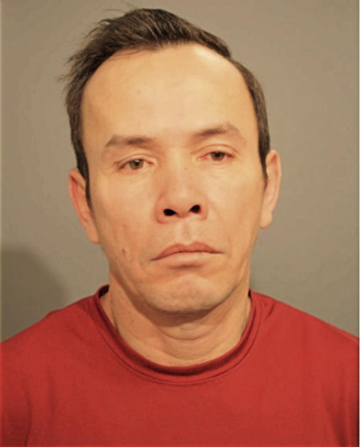 KHANH D NGUYEN, Cook County, Illinois