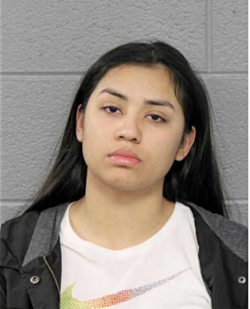 ALEXANDRA F RENDON, Cook County, Illinois