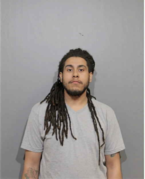 NICHOLAS M REYNOLDS, Cook County, Illinois