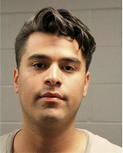 ANGELO ROSALES, Cook County, Illinois