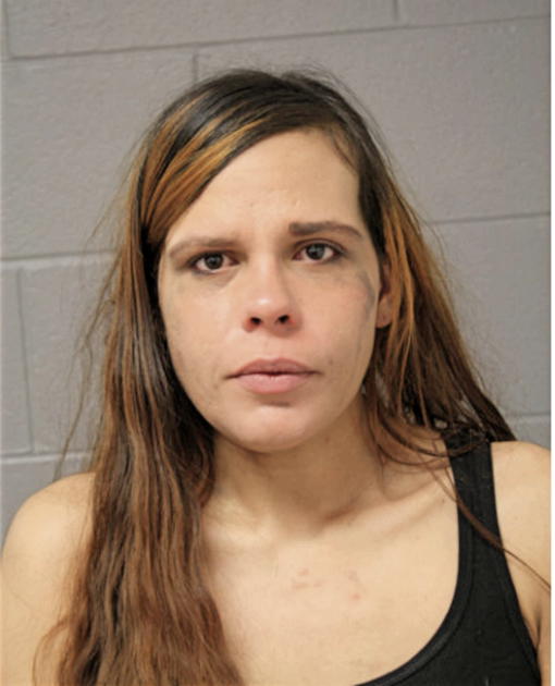 ERICA A ROSALES, Cook County, Illinois