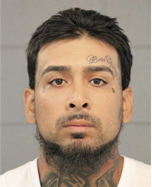 JAVIER TAMAYO, Cook County, Illinois