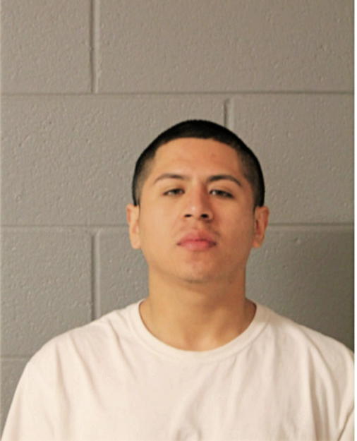 JAVIER TILAPA, Cook County, Illinois