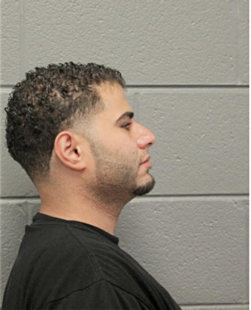 MOHAMAD K AKEL, Cook County, Illinois