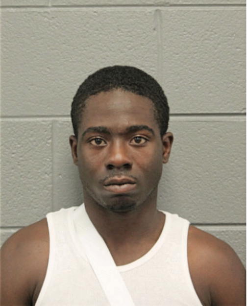 MICHAEL M AUSTIN, Cook County, Illinois