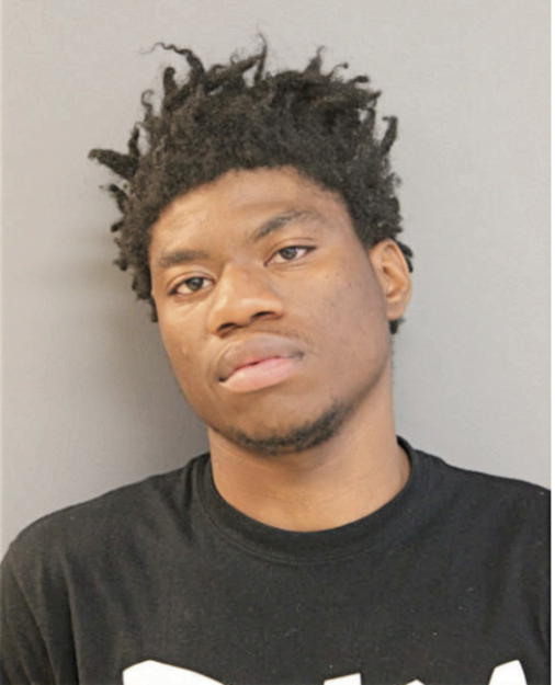 DARRELL A BREWER, Cook County, Illinois