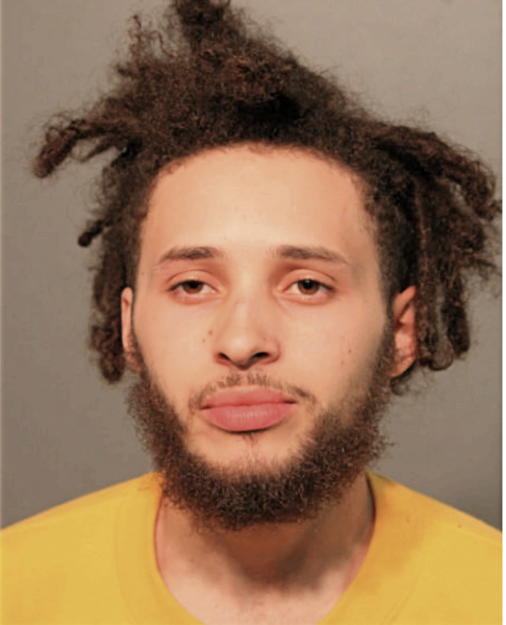 JAHLEIGH D BULLIE, Cook County, Illinois
