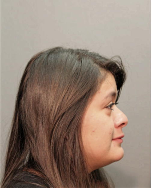 JESSICA V CAMPUZANO, Cook County, Illinois