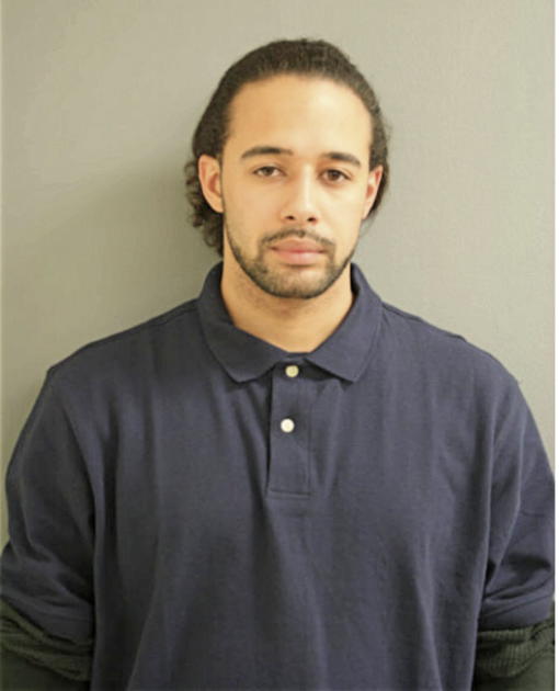 RYAN M CULPEPPER, Cook County, Illinois