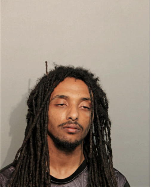 SAMUEL ENDALKACHEW, Cook County, Illinois