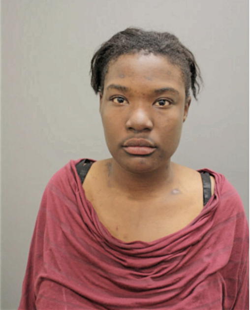 MICHELLE M FLOWERS, Cook County, Illinois