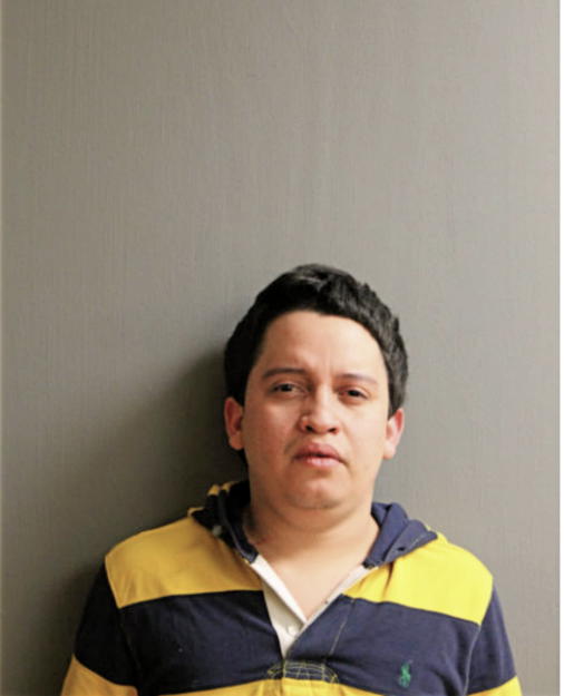 ROBERTO GALEANA-SOBERANIS, Cook County, Illinois