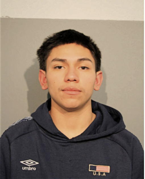 ALEXIS G GARRIDO, Cook County, Illinois