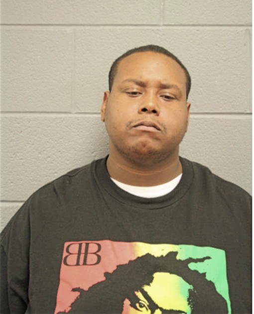 MICHAEL M HUNTER, Cook County, Illinois