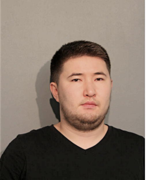 TILEK ISAEV, Cook County, Illinois