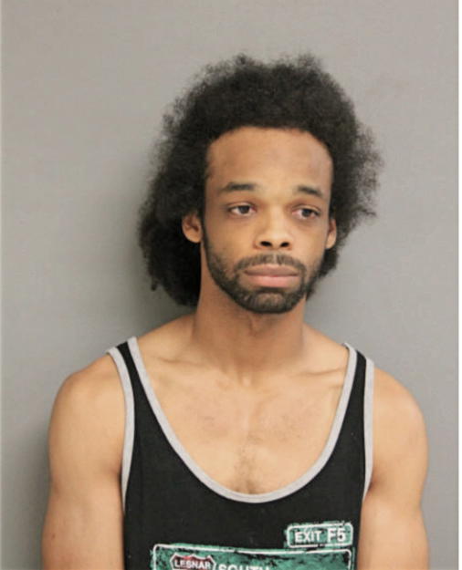 AMANI JOHNSON, Cook County, Illinois