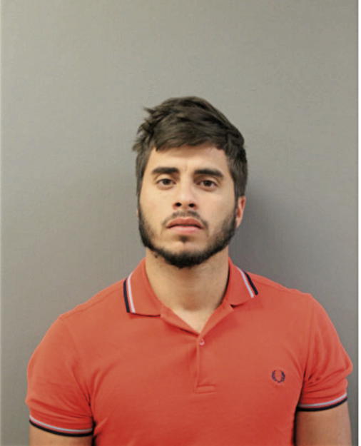 NELSON JUNIOR LAI, Cook County, Illinois