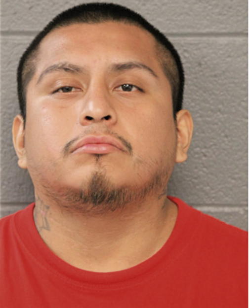 ALEJANDRO OCAMPO, Cook County, Illinois