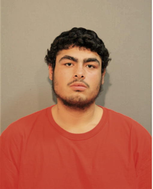 MIGUEL A ORTIZ, Cook County, Illinois