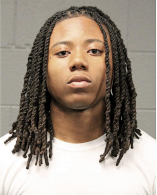 JAHARI L PALMER, Cook County, Illinois