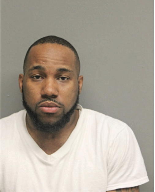 DAVID L POWELL, Cook County, Illinois