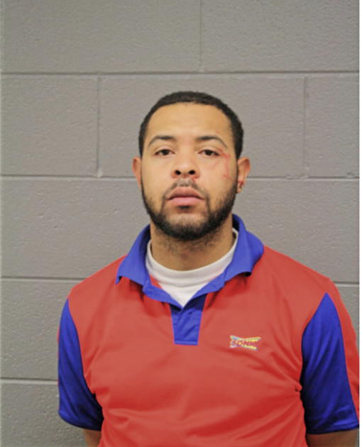 RYAN T RICHIE, Cook County, Illinois