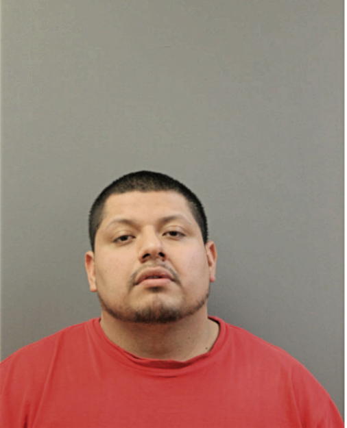 JESUS M ROMAN, Cook County, Illinois