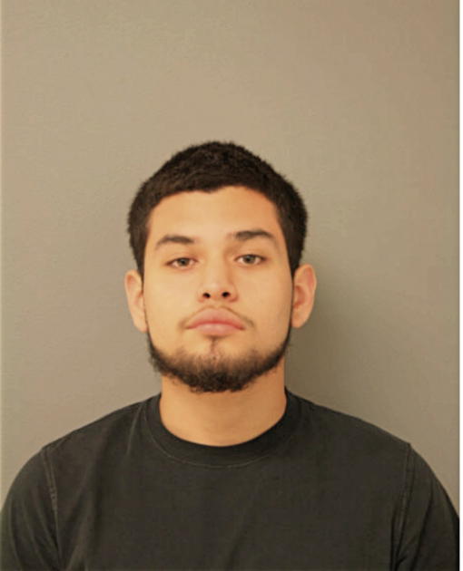 HERNAN RUIZ, Cook County, Illinois