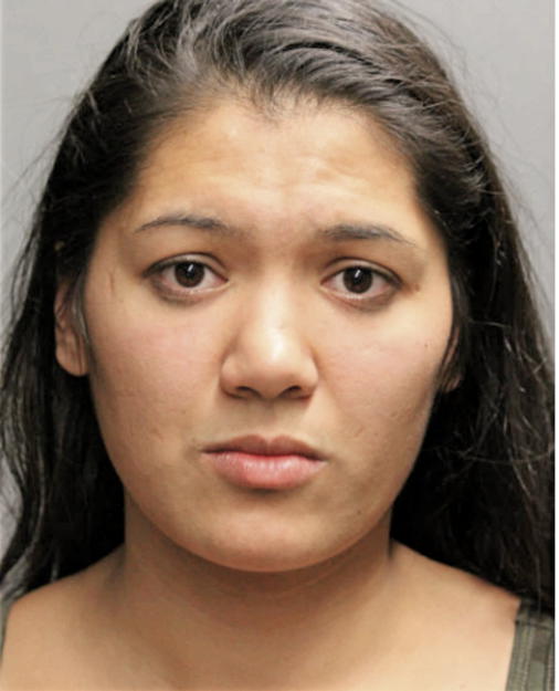 JANNETTE N SANCHEZ, Cook County, Illinois