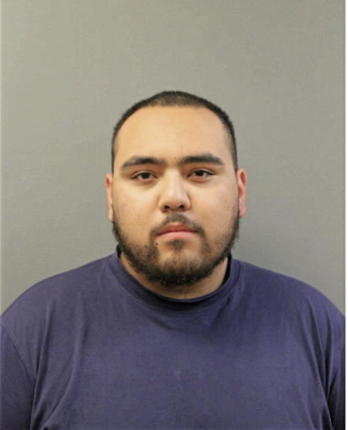 EMMANUEL VENCES, Cook County, Illinois