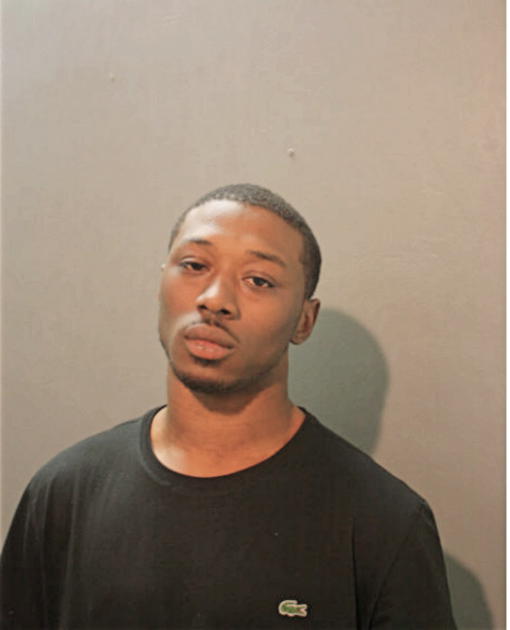 ERIC L WILSON, Cook County, Illinois