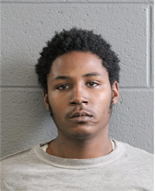 LEE WOODS, Cook County, Illinois