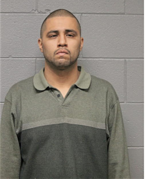 CARLOS E ALFARO, Cook County, Illinois