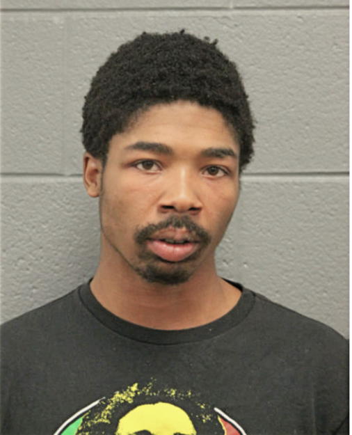 DARION W BLACKMAN, Cook County, Illinois