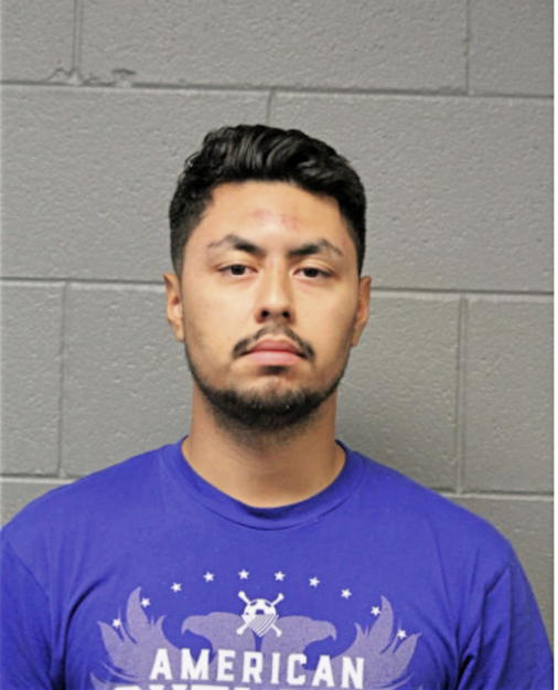 ANTHONY P BONILLA, Cook County, Illinois