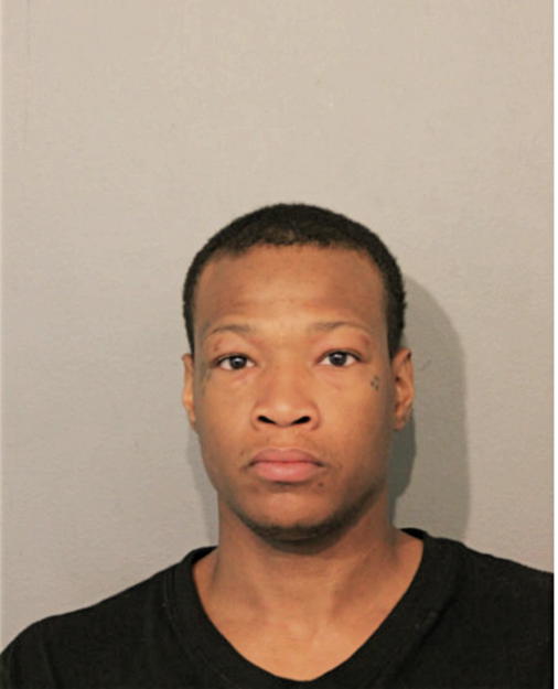 WESLEY L DAVIS, Cook County, Illinois