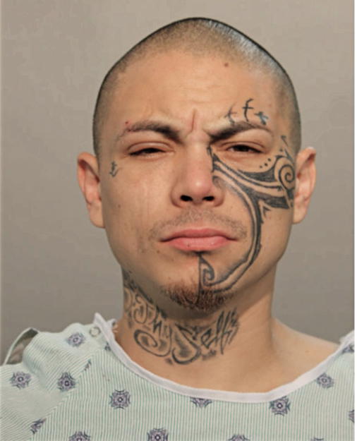 RICHARD J FRALEY, Cook County, Illinois