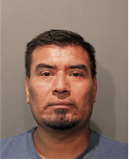 JAVIER S GARCIA, Cook County, Illinois