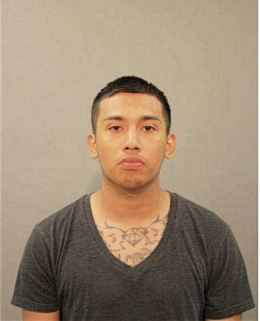 MARCO GARCIA, Cook County, Illinois