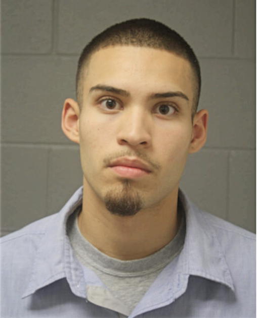 JOSE M GUZMAN, Cook County, Illinois