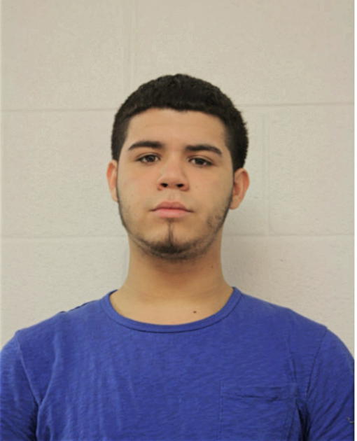HECTOR A HERRERA, Cook County, Illinois