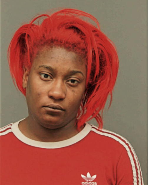 COURTNEY S HESTER, Cook County, Illinois
