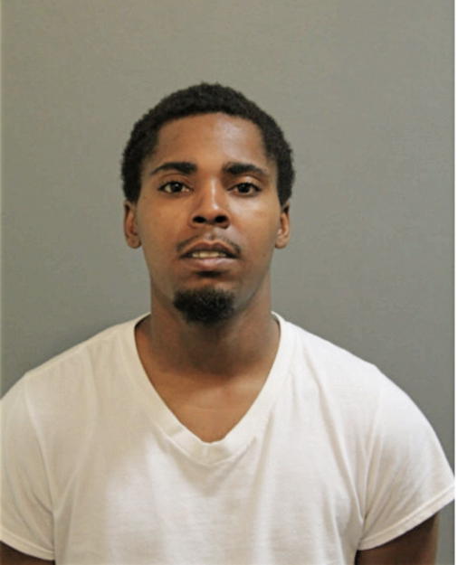 MICHAEL A HICKS, Cook County, Illinois