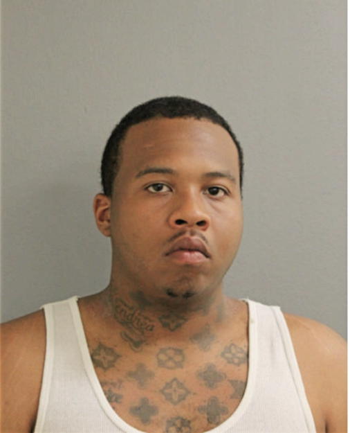 BRANDON J HOLMES, Cook County, Illinois