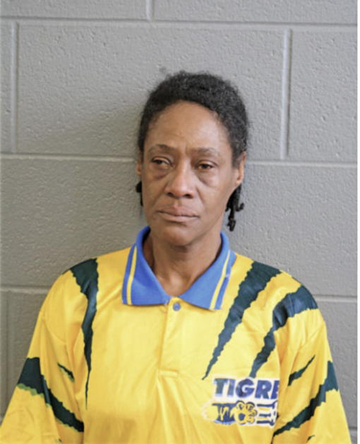 GLORIA J HUDDLESTON, Cook County, Illinois
