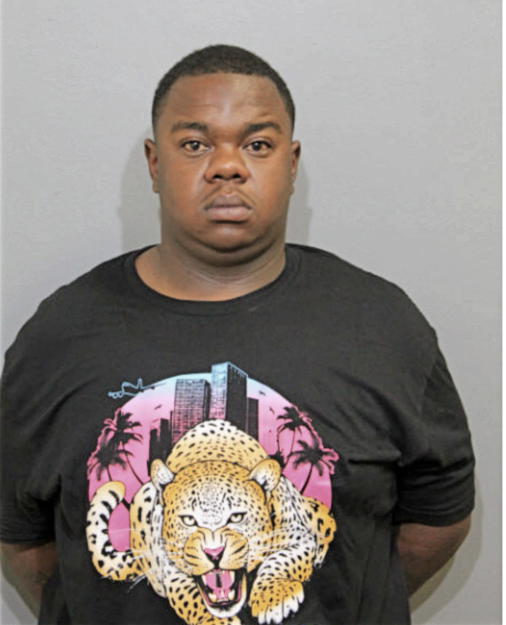MICHAEL W JOHNSON, Cook County, Illinois