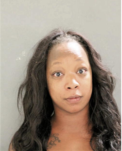 NATASHA C LAYE, Cook County, Illinois