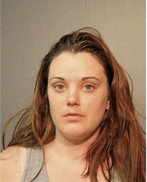 DANIELLE S LOHRENTZ, Cook County, Illinois