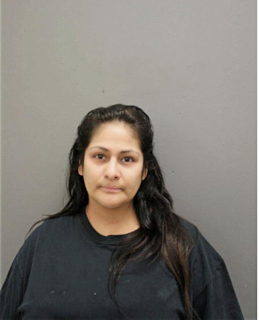 RACHAEL N REYES, Cook County, Illinois
