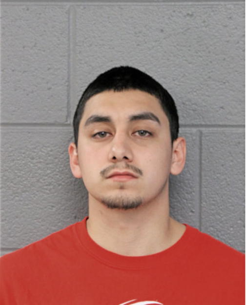 ORLANDO ROSAS-GONZALEZ, Cook County, Illinois